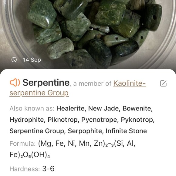 2/$20 Dark Green Serpentine Leaf Branch Necklace,Genuine Gemstone StainlessChain - Picture 12 of 13